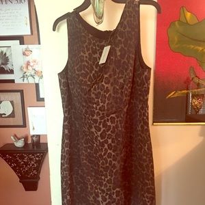 Ann Taylor animal print dress